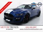 Thumbnail Photo 0 for 2022 Ford Mustang Shelby GT500